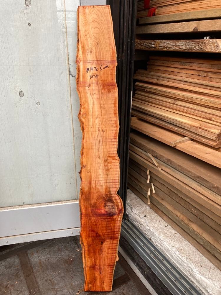 Pacific Yew